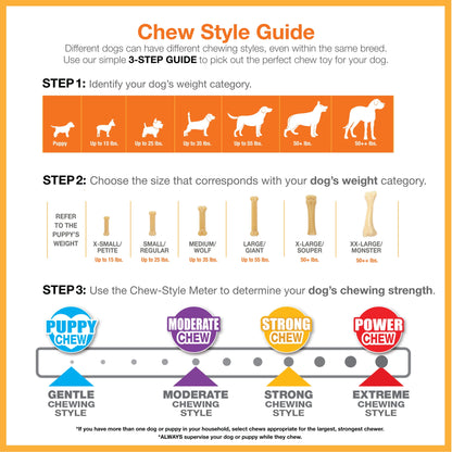 Power Chew Flavored Durable Dog Chew Toy - 50+ Lbs.