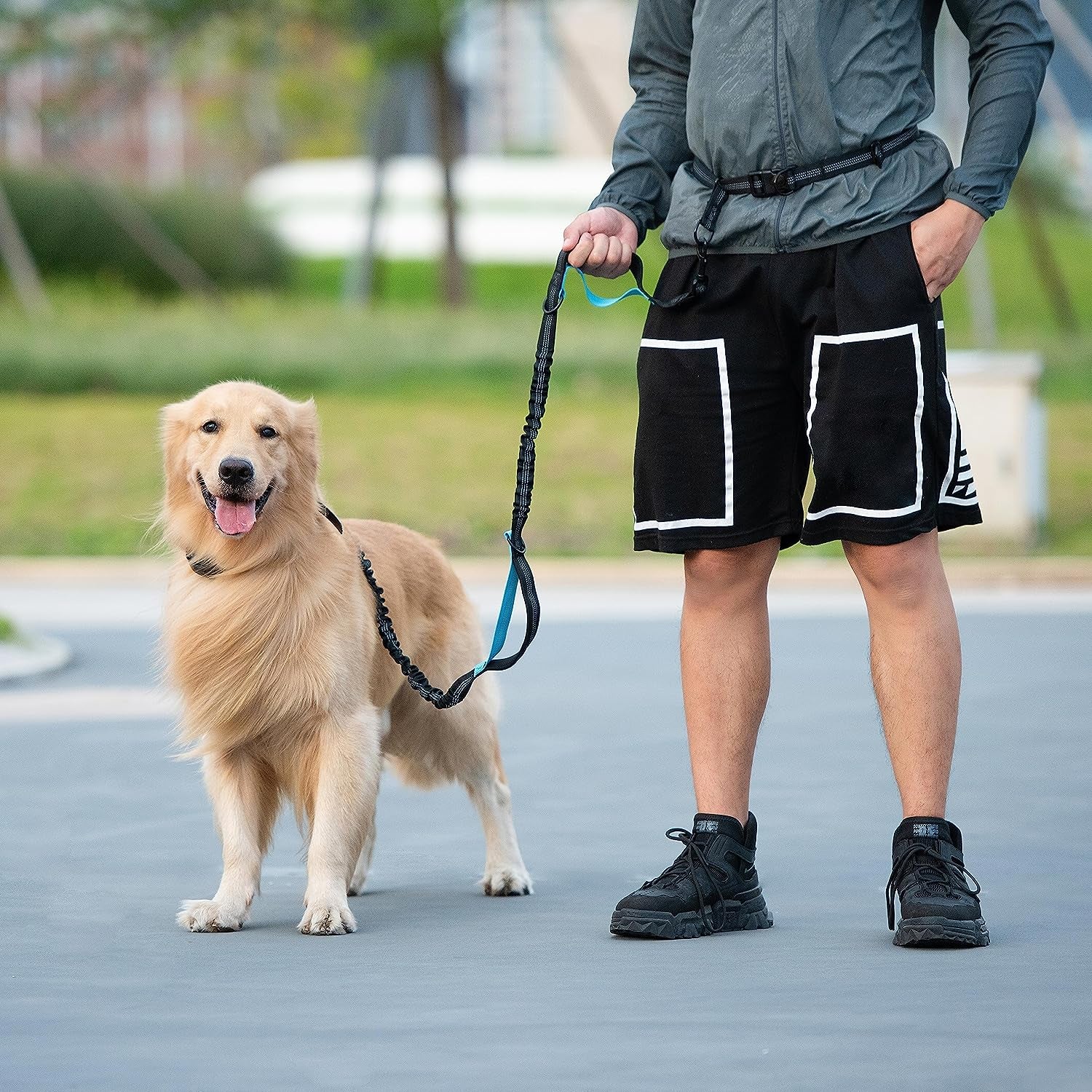 Hands Free Dog Leash with Zipper Pouch, Dual Padded Handles and Durable Bungee for Walking, Jogging and Running Your Dog (Medium, 8-25 Lbs, Black)