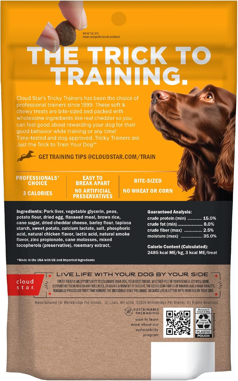 Tricky Trainers Soft & Chewy Dog Training Treats 5 Oz Pouch, Cheddar Flavor, Low Calorie Behavior Aid with 130 Treats