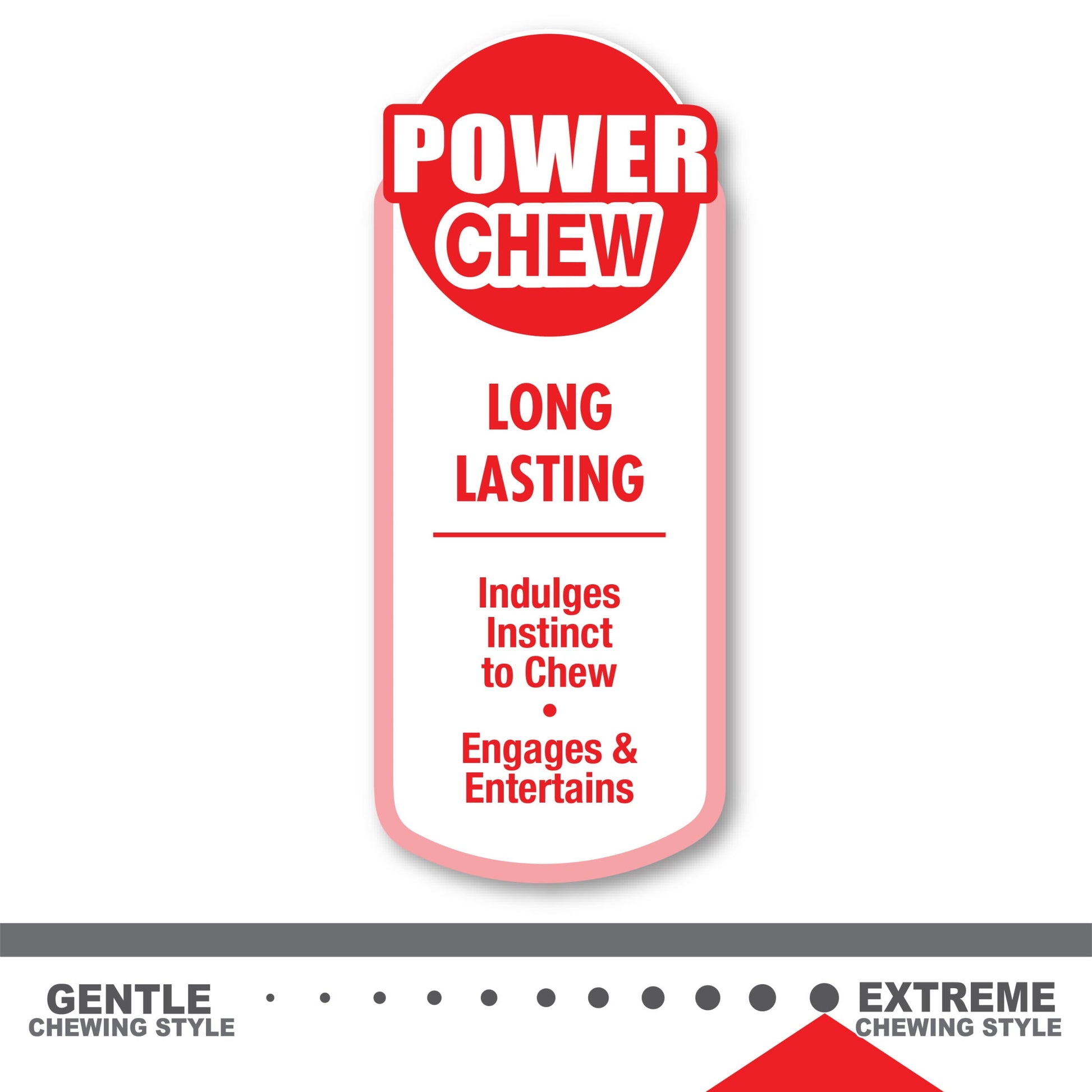 Power Chew Flavored Durable Dog Chew Toy - 50+ Lbs.