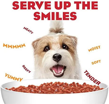 Steak Flavor Adult Dry Dog Food