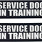 Reflective Service Dog in Training Patches with Hook Backing for Service Animal Vests /Harnesses Large (6 X 2) Inch