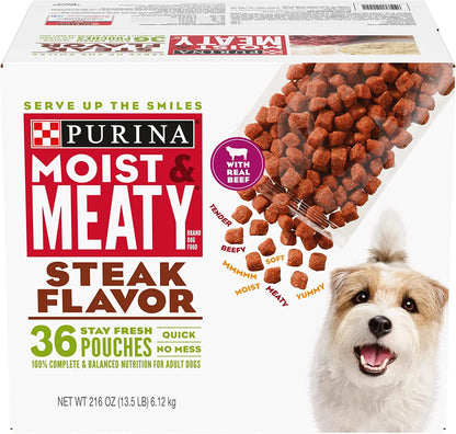 Steak Flavor Adult Dry Dog Food