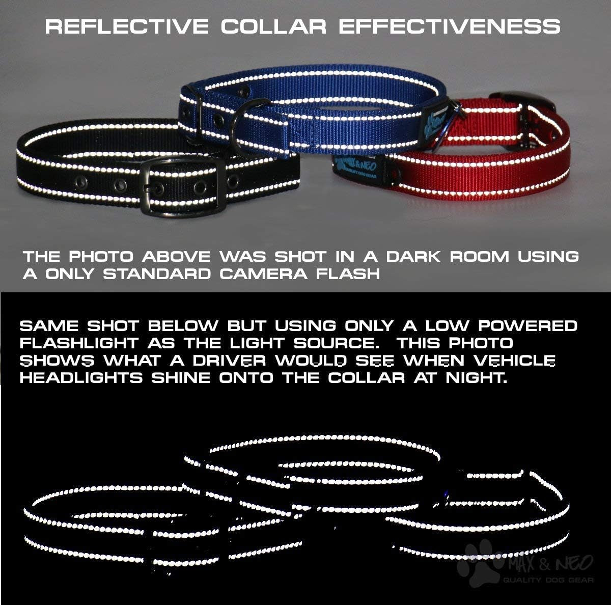 MAX Reflective Metal Buckle Dog Collar - We Donate a Collar to a Dog Rescue for Every Collar Sold (Medium, Purple)